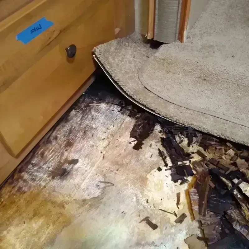 Best Wood Floor Water Damage Service in Midland County, MI